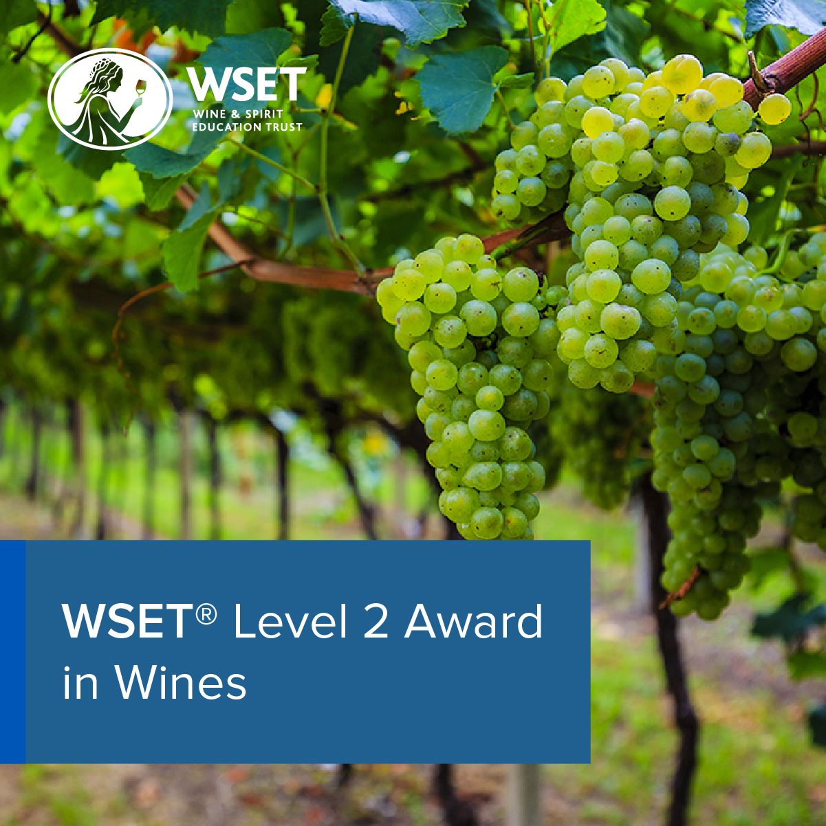 EN_Wines, Level 2 Award (1200x1200).jpg
